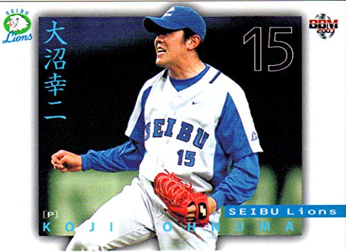 【非売品/当選品】 プロ野球パ・リーグ 埼玉西武ライオンズ 大沼幸二投手 #15 支給品 実使用 スパイク 非売品/当選品】 プロ野球パ・リーグ 埼玉西武ライオンズ 大沼