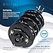 Detroit Axle - Front Struts for 2004-2008 Nissan Maxima, 2 Complete Struts Coil Spring Assembly 2005 2006 2007 Replacement Suspension Quick Install Ready Struts Shocks