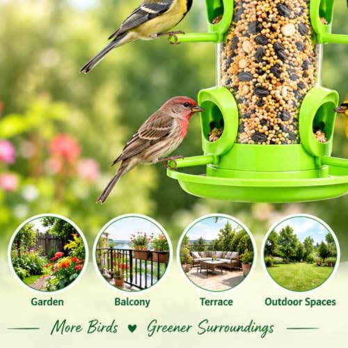 Image of FORREVER Bird Feeder & Water Dispenser for Balcony-Garden | Hanging Seed Feeder with Water Tray | Sparrow, Parrot & Small Bird Feeder | Easy-Clean, Outdoor Feeding Station (Set of 2)