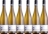 Immich-Anker EISBRUCH® Riesling 2024 Trocken (6 x 0.75 l)