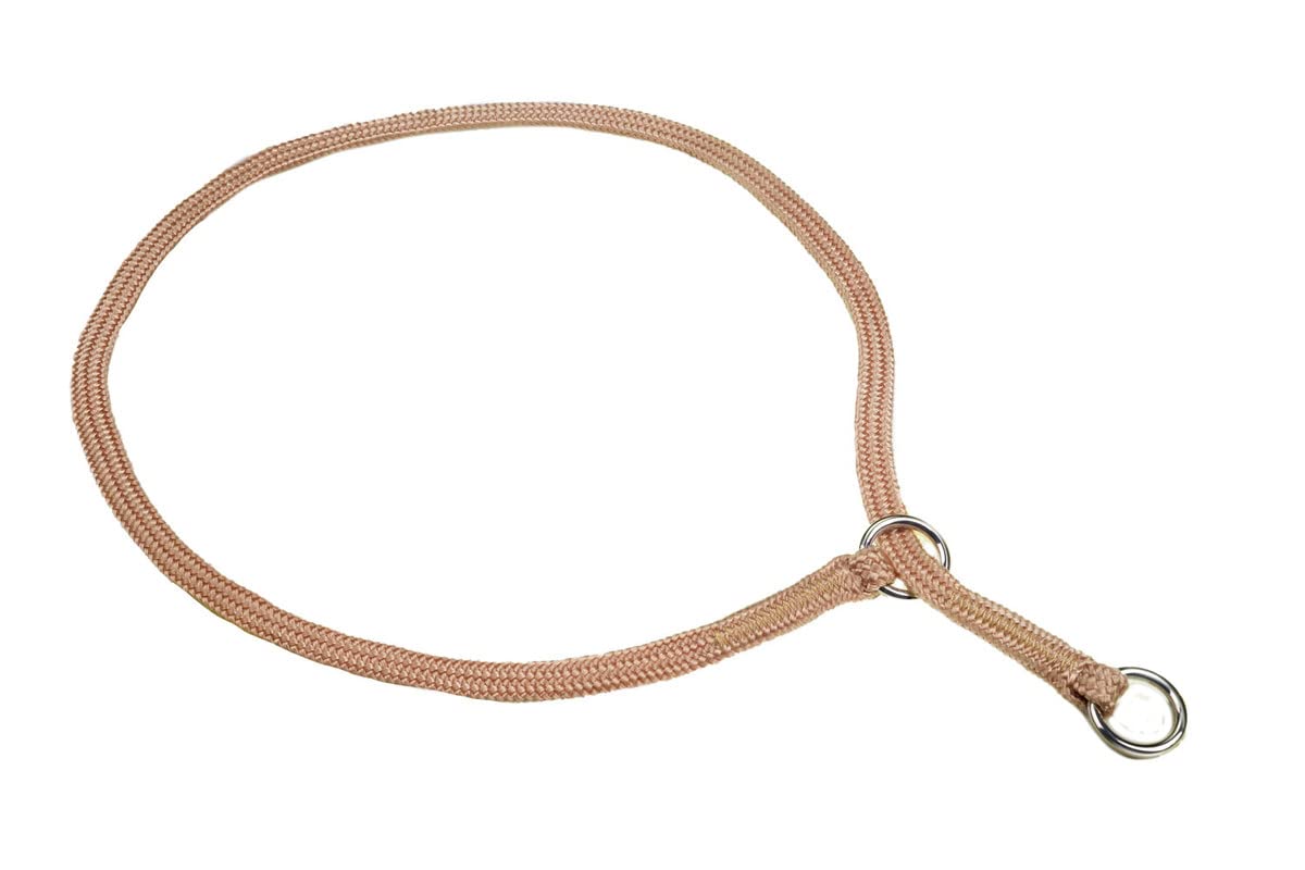 Show Slip Collar – Conformation Dog Collar – Perfect for Small Pups to Large Dogs – Home Designer Dog Collar for Dog Shows for Best Friend