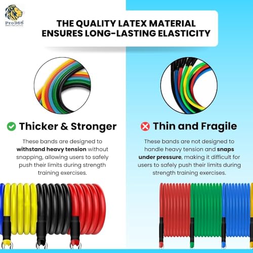 Image of PRO365 11 in 1 Resistance Band Kit for Home Exercises, Stretching, Toning Tube Kit with Foam Handles, Door Anchor (Ankle Strap, Carrying Bag, Exercise Manual Included)
