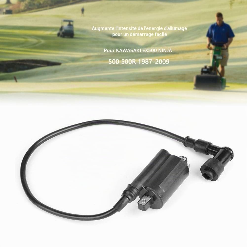 Bobine d'allumage Denso 129700 Bobine d'allumage adaptée pour Denso Coil Pack 2653 GAS 260265285320425445455 F725 F911bobine d’allumage denso 129700 bobine allumage denso 129700+bobine d'allumage hon