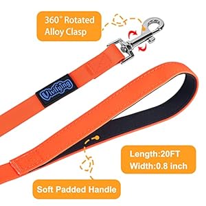 Vivifying Waterproof Long Dog Leash, 20ft Dog Training Leash for Outside, Durable PVC Long Line Lead with Padded Handle for Recall Training, Hiking, Swimming, Beach and Lake (Orange)