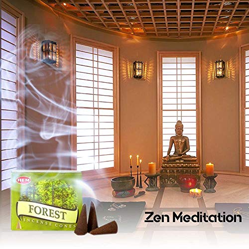 Hem O6S3E961603 Forest Pack Of 12 Incense Cones Boxes thumb #2