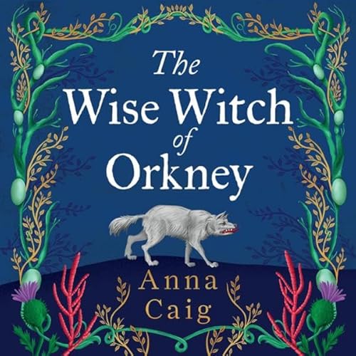 The Wise Witch of Orkney Audiolivro Por Anna Caig capa