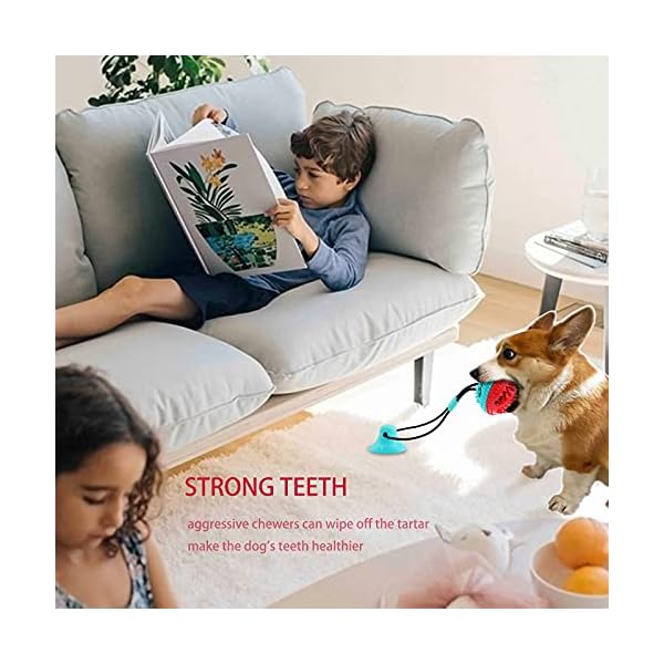 Askhald-Dog-Toys-Dog-Chew-Toys-for-Aggressive-chewers-Puppy-Dog-Training-Treats-Teething-Rope-Toys-for-Boredom-Dog-Puzzle-Treat-Food-Dispensing-Ball-Toys-for-Puppies-Teething-Small-Dogs-Blue Puppy Ball Toys - Best Options for Engaging Puppies