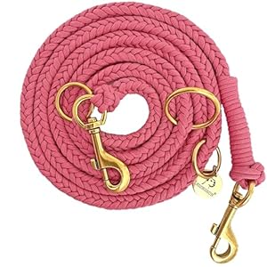 Leisegrün Paracord Hundeleine Rosa 2m