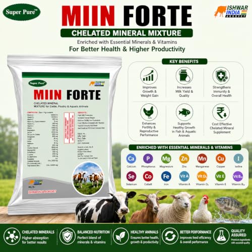 Image of MIIN Forte Pouch Pack | Mineral Mixture Powder for Cattle, Buffaloes, Goats & Sheep | Boosts Milk Yield, Growth, Immunity Booster | Powerful Chelated Minerals Mixture (1Kg)