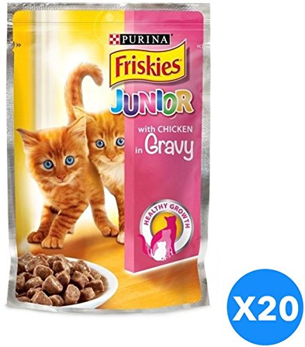purina junior cat food