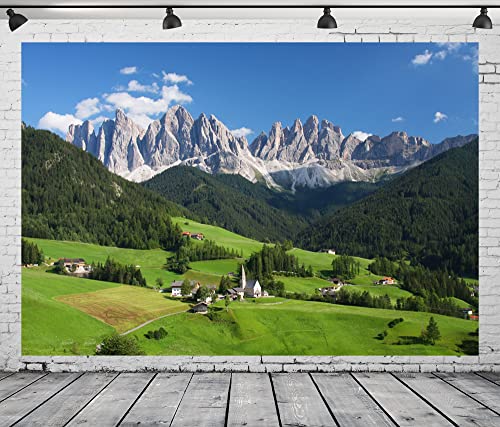 BELECO fondo fotográfico 10x8FT de tela poliéster miniatura 5