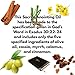 Holy Anointing Oil Handmade to The Specifications in Exodus 30:22-25 (Myrrh, Calamus, Cinnamon, Cassia, Olive Oil) (1oz)