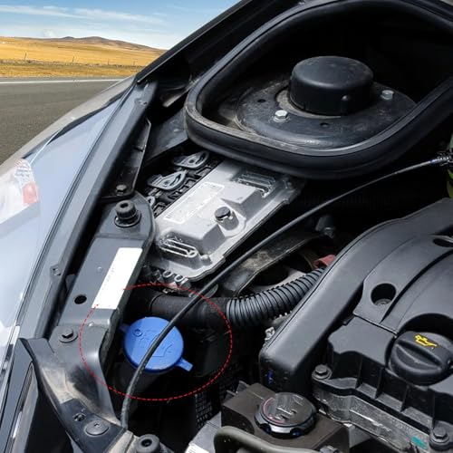 Tapa de depósito de agua compatible con Citroën C-Elysee y Xsara C2 7