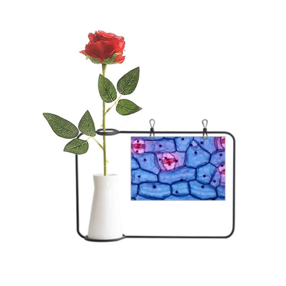Fleur artificielle suspendue Plant Science : vase bioplast sans entretien