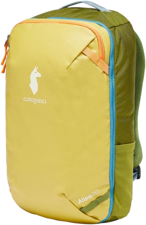 20 L