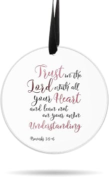 WIRESTER Hanging Ornaments for Christmas Tree Holidays, Party, Car, Home, Office Decoration, Large 3 inch Acrylic Ready to Hang Ornament - Christian Proverbs 35-6 S1