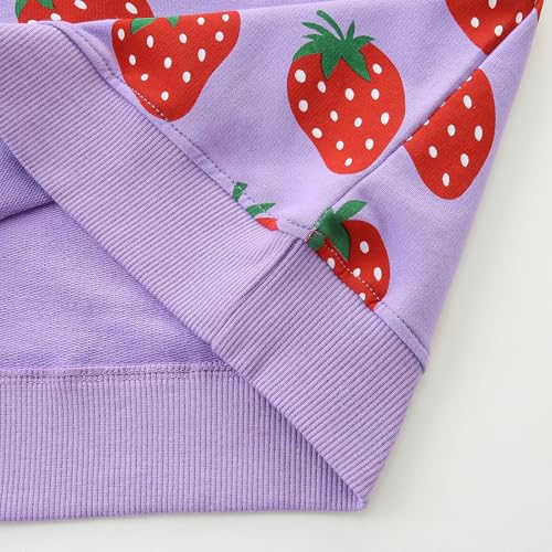 Image of Bumeex Girls Cotton Crewneck Cute Sweatshirts The Hedgehog and The Fox Pink 2-7T