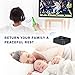 immagine 3Jelly Comb Cuffie Bluetooth wireless stereo ricaricabili con trasmettitore Bluetooth 2 in 1 e adattatore ricevitore (Digital Optical Aux RCA Pc USB) per TV / PC / telefono / iPad