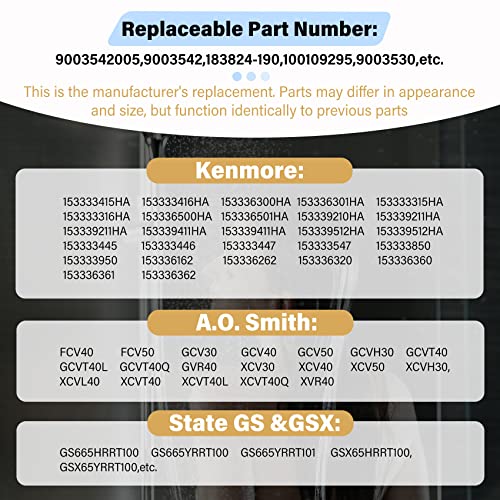 Upgraded 9003542 Natural Gas Pilot Assembly, 9003542 Water Heater Pilot Assembly Compatible With A.o.smith, Reliance,Kenmore, State Gs And Gsx Water Heater, Replace 1009295,18324-190,9003530 #TOP4
