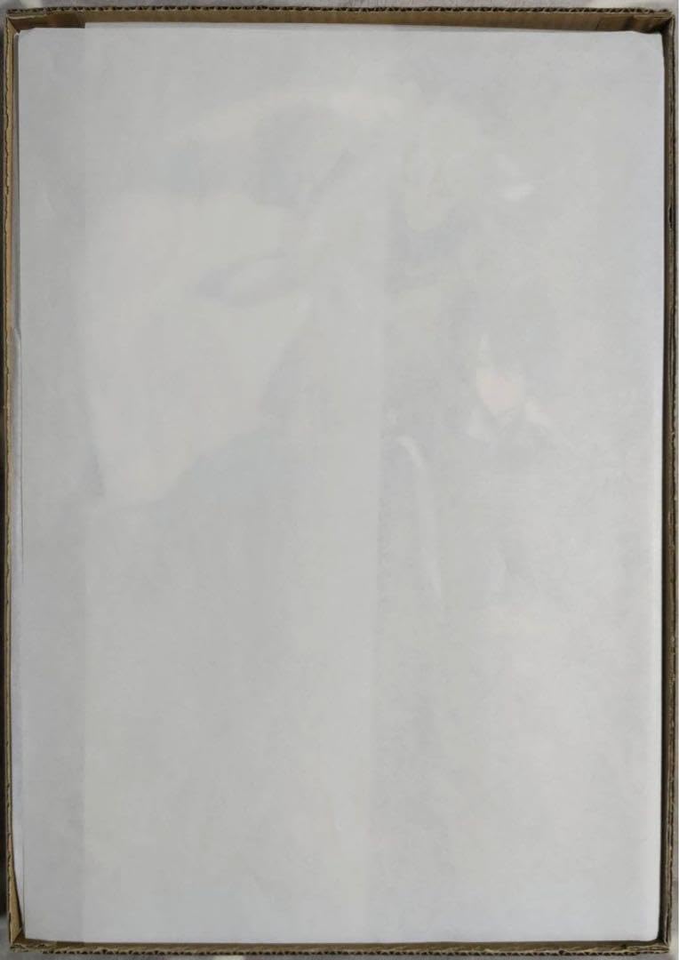 三日月宗近　小狐丸　複製原画　A4* Amazon.co.jp: 刀剣乱舞 灯結び展 描きおろしイラスト 三日月