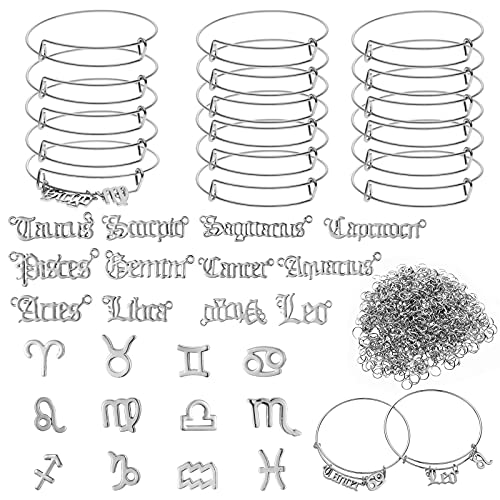 Houda 300PCS Expandable Zodiac Bracelets Adjustable Bracelets Zodiac Pattern Sign Letter Open Jump Ring Zodiac Charms for Jewelry Making (Silver)