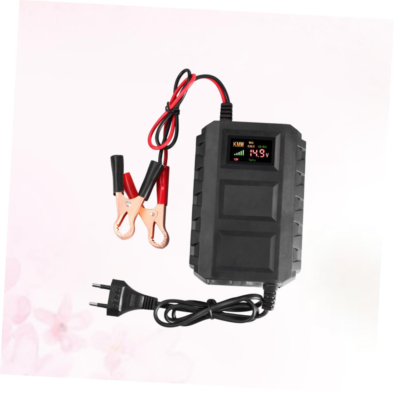 Chargeur de Batterie 12 V 20 A pour Moto et Batterie Automobile