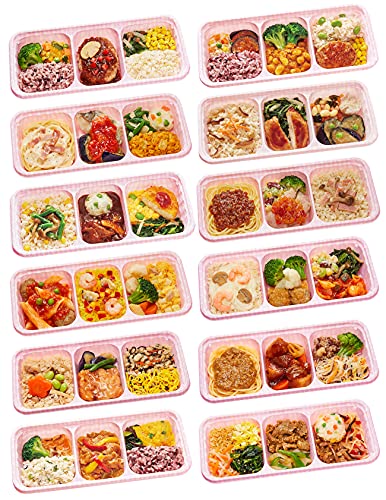 ニチレイ ウーディッシュ 冷凍弁当 12食セット ごはん 主食付 宅配 おかず