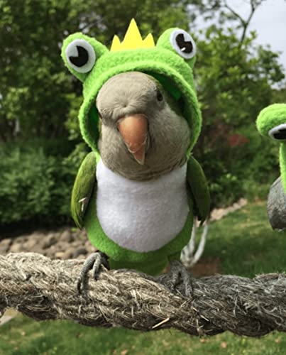 Image of Bird Costume Diaper Flight Suit Frog Shape Hoodie Clothes Cosplay Photo Prop for Parrots Parakeet Cockatiel Sun Conure, Small Animals Apparel (Pink with Diaper, Large), Green (BPF1)