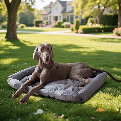 Wasserdicht waschbares Katzen und Hundebett mit Stabiler Seitenwand für kleine mittlere Tiere bis 25kg rutschfest Grau(L, 90x60x11 cm)