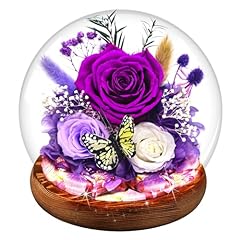 D6- Purple Rose