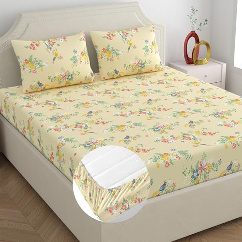 Image of Home Ecstasy 100% Cotton King Fitted Bedsheet with 2 Pillow Covers - (Size 72 x 78 inches, 140 TC, Colour - Beige: Silken Beige)