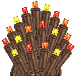 Novelty Lights 25 Feet, 50 Light Brown Wire LED Autumn Lights Outdoor, Commercial Grade, Yellow/Red/Orange, 5mm Bulbs, UL Listed, Connectable up to 1075 Feet Novelty Lights 25 Feet 50 Light Brown Wire LED Autumn Lights Outdoor Commercial Grade YellowRedOrange 5mm Bulbs UL Listed Connectable up to 1075 Feet