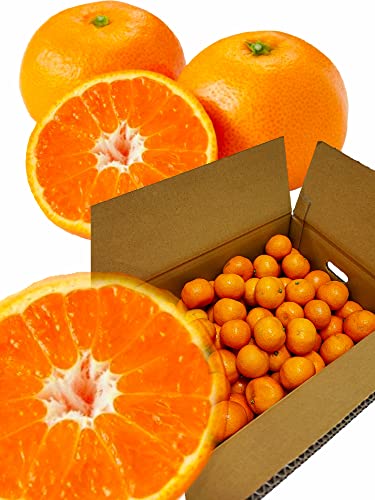 �݂��� �~�J�� ���x12�x�̍����x�݂��� �s��ɏo���Ȃ����̏��l�݂������ ���B�~�J�� ��A�� �ƒ�p (1.5�s)