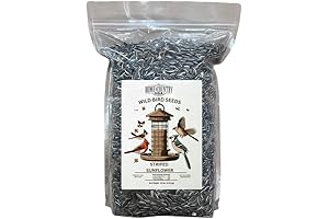 Striped Sunflower Seeds: A Nutritious Feast for Feathered Friends