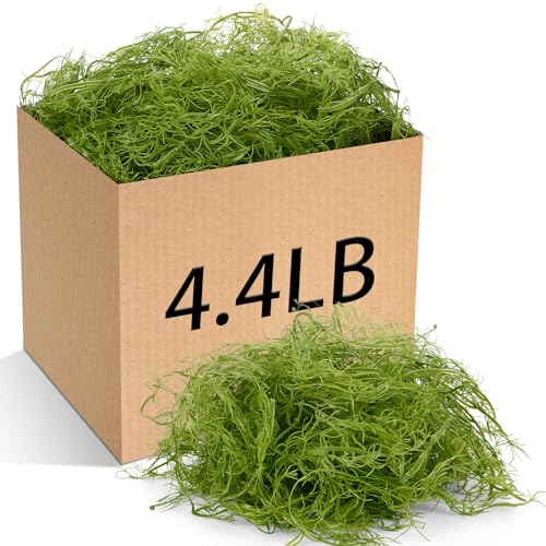 Giegxin Vegetação sintética de musgo espanhol para vasos de plantas, artesanato e arranjos florais Plantas artificiais de musgo em vaso artificial para Halloween interno e externo 2 kg Estojo a granel