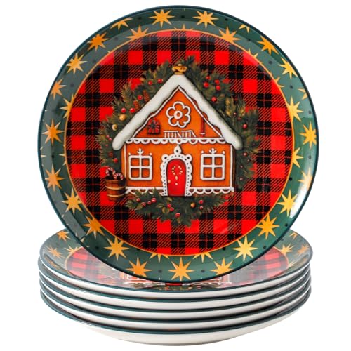 HASENSE Christmas Dinner Plates