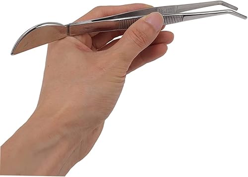 Miniatura 8 de Happyyami 4 Pcs Bonsai Forceps Crafting Tweezers Aquarium Plant Tools Metal Container Bonsai Tree Tools Bonsai Soil Loosening Tool Straight Tweezers