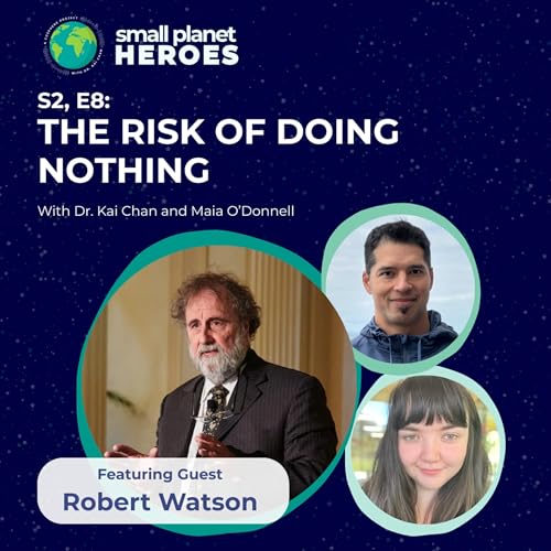 Bob Watson: The Risks of Doing Nothing