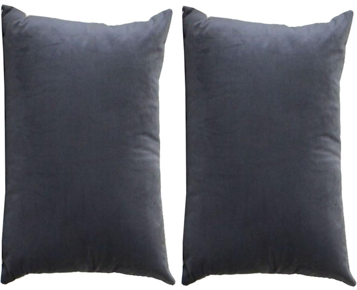 SWJ-swjssb Cushion Covers Throw Pillow Covers Velvet Rectangle Pack Of 2 Pillowcases Standard King Queen With Zipper For Decorative Bed Couch Sofa Living Room (Color : #1, Size : 60x80 cm set of 2)