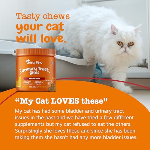Image of Zesty Paws Cranberry Urinary Tract Bites for Cats - Kidney & Urinary Tract Health - Soft Chews with D-Mannose, Vitamin B6 & L-Arginine - Immune & Gut Support - Bacon - 60 Count