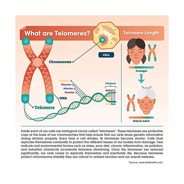 NAD-NMN-Supplement-Nicotinamide-Mononucleotide-Anti-Aging-Telomere-Capsules-NRF2-NADH-Activator-Supplements-for-Women-Men--Stem-Cell-Support-Longevity-and-Cellular-Energy--60-Veggie-Pills Genius Eternal, Anti-Aging Supplement - Telomere Capsules - NRF2 NADH Activator Supplements, Stem Cell Support for Longevity, Cellular Energy, Metabolism & Repair