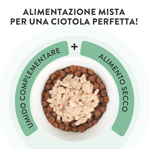 Schesir, Thunfischfilets in Gelee, ergänzendes Nassfutter für Katzen, Originalrezept, 100% natürlich, 12 Beutel à 70 g