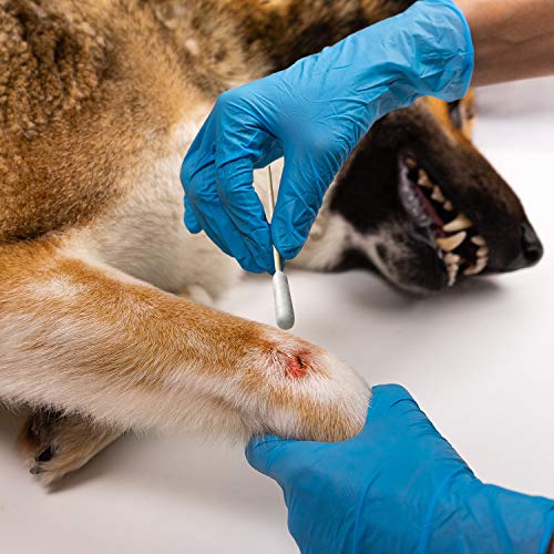 Hzran Dog Ear Wax Cleaner, Premium Cotton Swabs Kit For Puppy, Bamboo Cotton Buds Apply Medicine, Clean Wound, Clean Nose, Soft Absorbent Ear Cleaner For Dog, Cat, Rabbit, Hamster, Bunny, Guinea Pig #TOP6