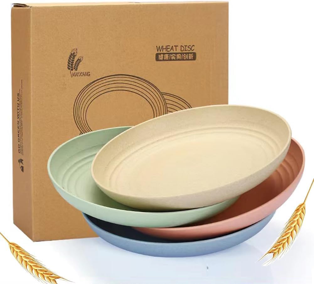 MEETOZ 9 Inch Dinner Plates Sets
