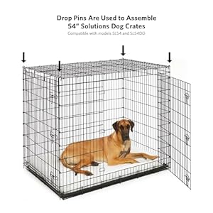 Midwest Homes for Pets Replacement Solutions Series Drop Pin Sl54 Sl54dd Ecoated Black Sl54pin  Cucciolini Doodles Midwest homes for pets replacement solutions series drop pin sl54 sl54dd e coated black sl54 pin   cucciolini doodles