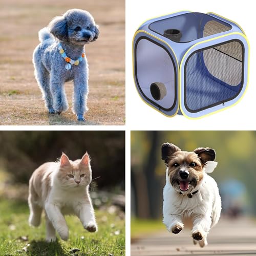 Boîte de séchage pour chat : la cage de toilettage protégeant votre compagnon - 5