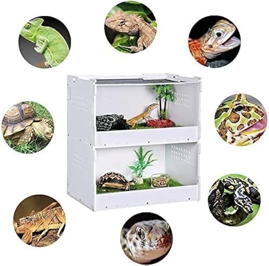 爬虫類飼育ケース　(２個セット) Amazon | 飼育ケース 爬虫類・両生類用飼育ボックス 二層給餌