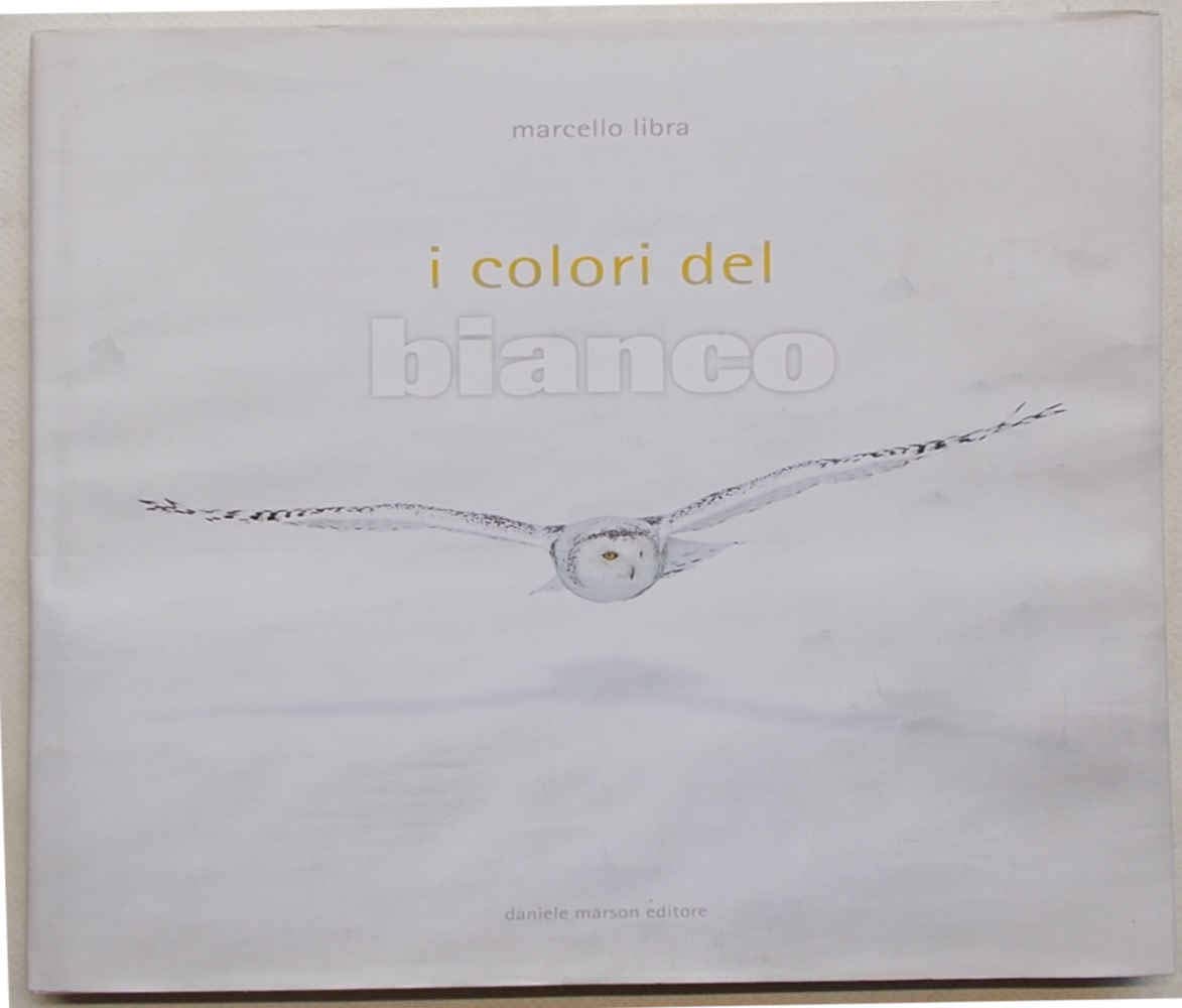 I colori del bianco livre d'art et design d'intérieur épuré