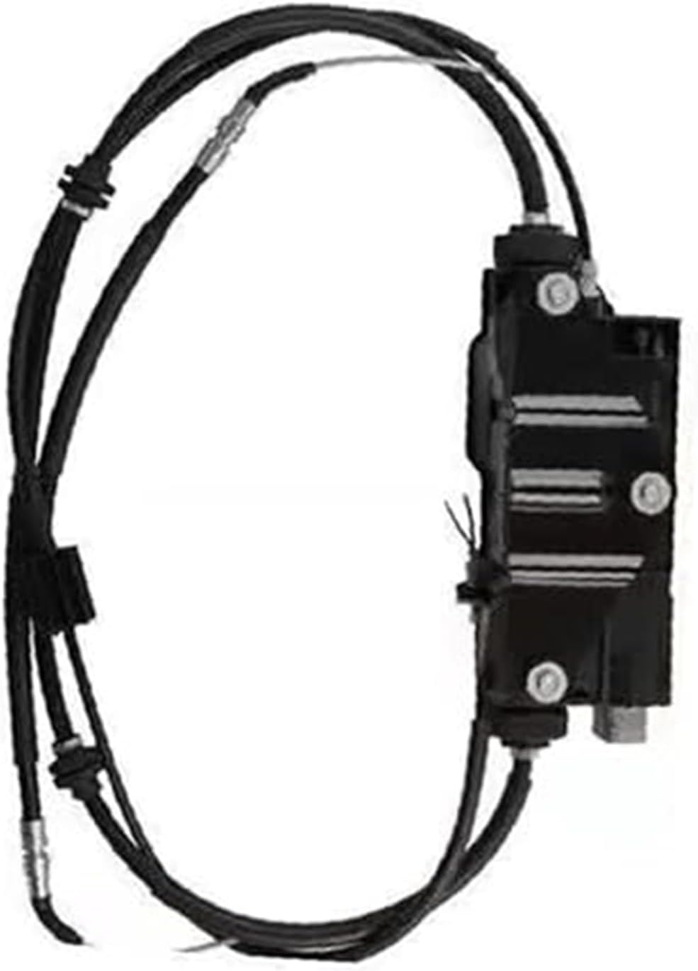 Kenneth Reed ケネスリード RED BUD 額縁入 KENFORD メンズ 通販