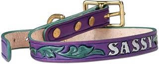 Tandy Leather Dog Collar Kit - for Beginners - Pre-Punched Vegetable Tanned Leather Strap for Stamping, Dyeing, and Hand Sewing